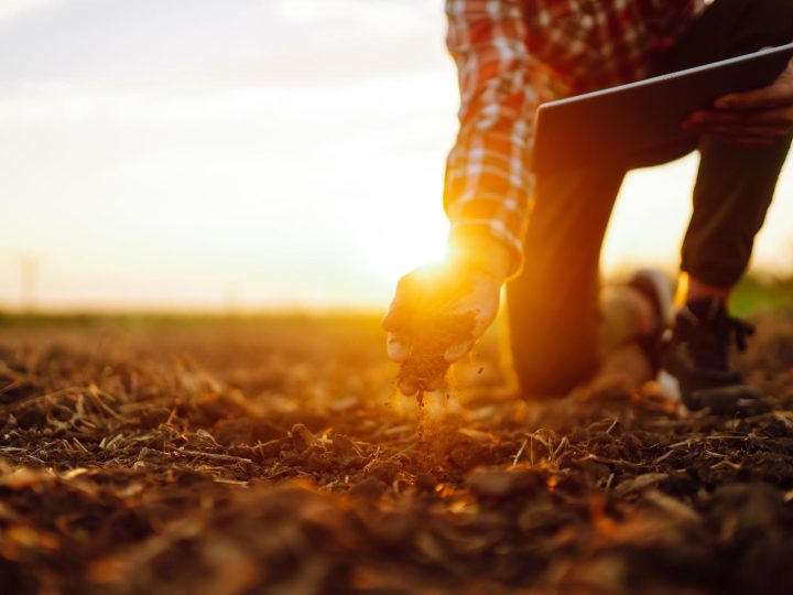 Agricoltore moderno: coltivare il futuro tra innovazione e tradizione