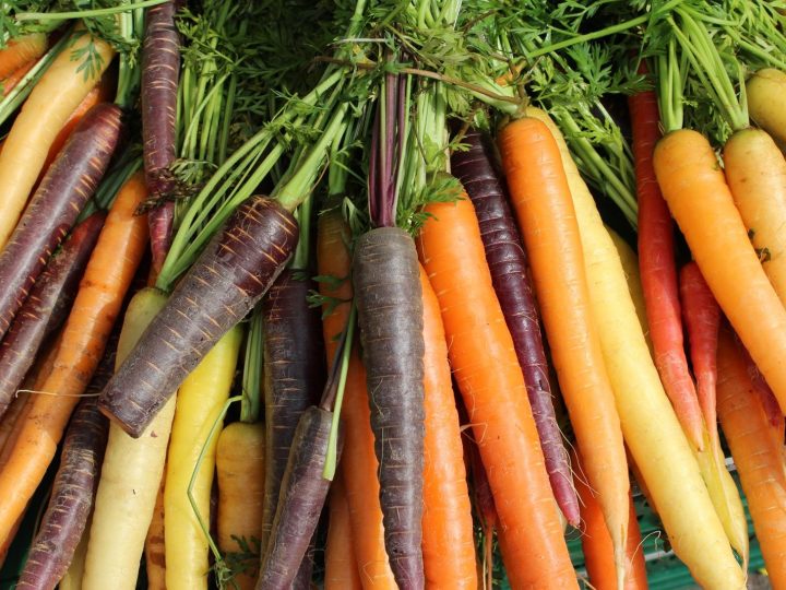 Le carote fanno ingrassare? Scopri la verità dietro il mito delle verdure e il peso corporeo!