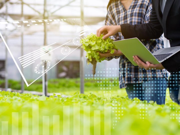 Perito agrario: il custode della sostenibilità rurale e dell’innovazione agricola