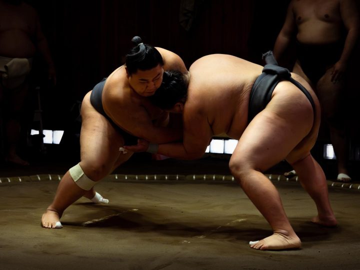 Sumo Spettacolare: La Danza di Giganti nell’Arena Giapponese