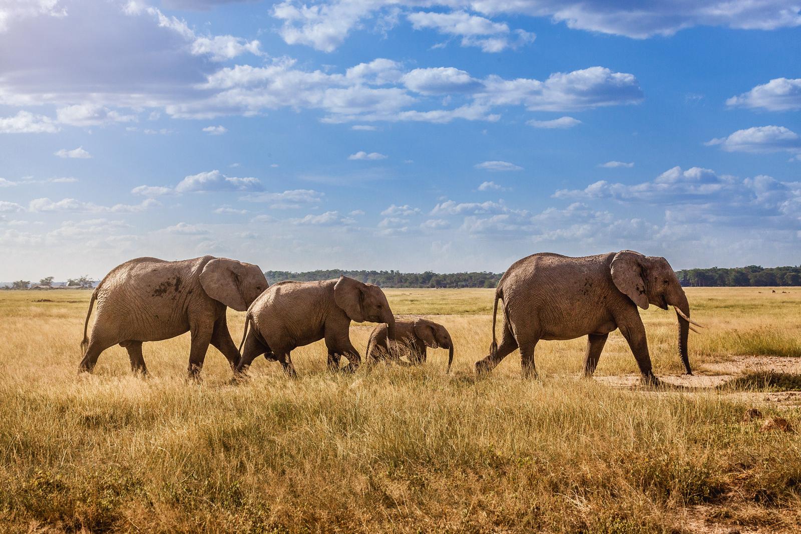 Tanzania: il momento perfetto per scoprire i tesori dell’Africa Orientale